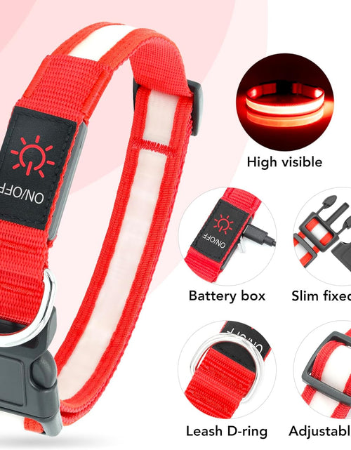 Load image into Gallery viewer, LED Dog Collar, Light up Dog Collar Adjustable USB Rechargeable Super Bright Safety Light Glowing Collars for Dogs

