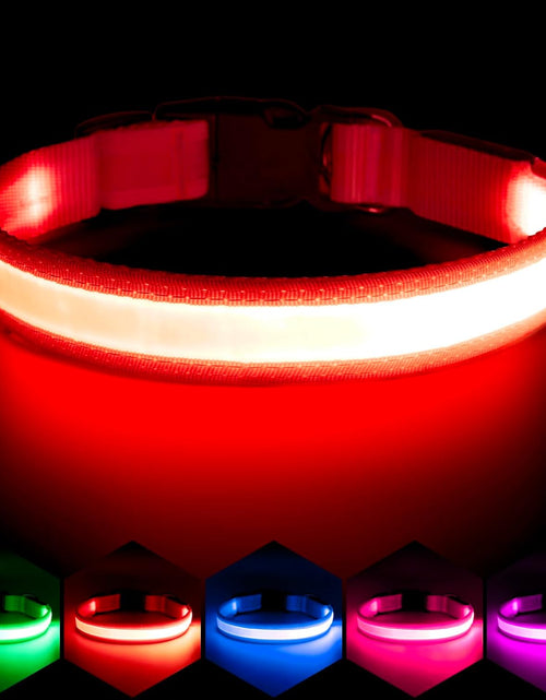 Load image into Gallery viewer, LED Dog Collar, Light up Dog Collar Adjustable USB Rechargeable Super Bright Safety Light Glowing Collars for Dogs
