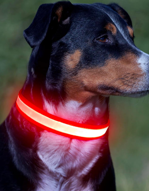 Load image into Gallery viewer, LED Dog Collar, Light up Dog Collar Adjustable USB Rechargeable Super Bright Safety Light Glowing Collars for Dogs

