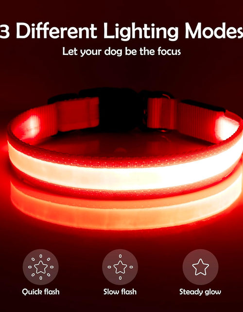 Load image into Gallery viewer, LED Dog Collar, Light up Dog Collar Adjustable USB Rechargeable Super Bright Safety Light Glowing Collars for Dogs
